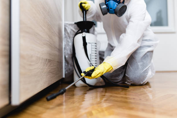 Best Residential Pest Control  in Jasper, TX