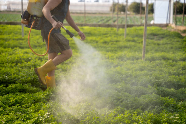 Best Best Pest Control Near Me  in Jasper, TX