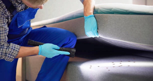 Best Best Pest Control Companies  in Jasper, TX